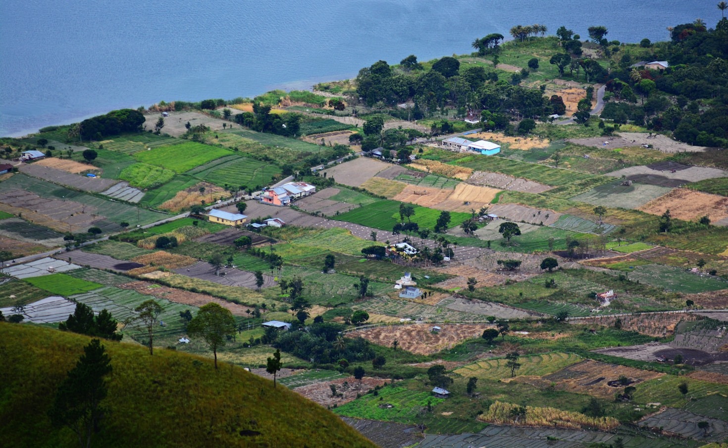 How ARDHI Is Transforming Communities Globally