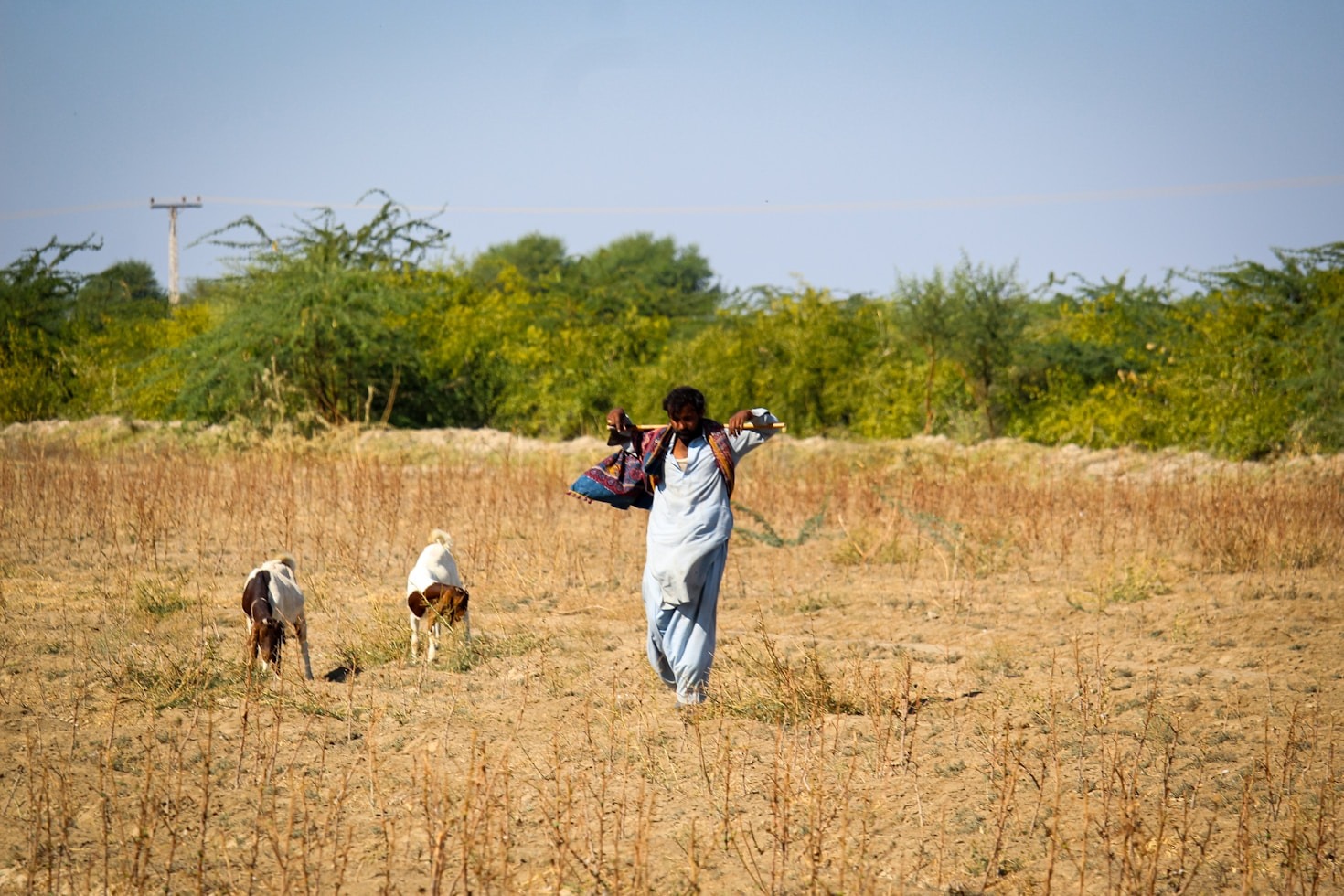 The Impact of ARDHI’s Grassroots Initiatives