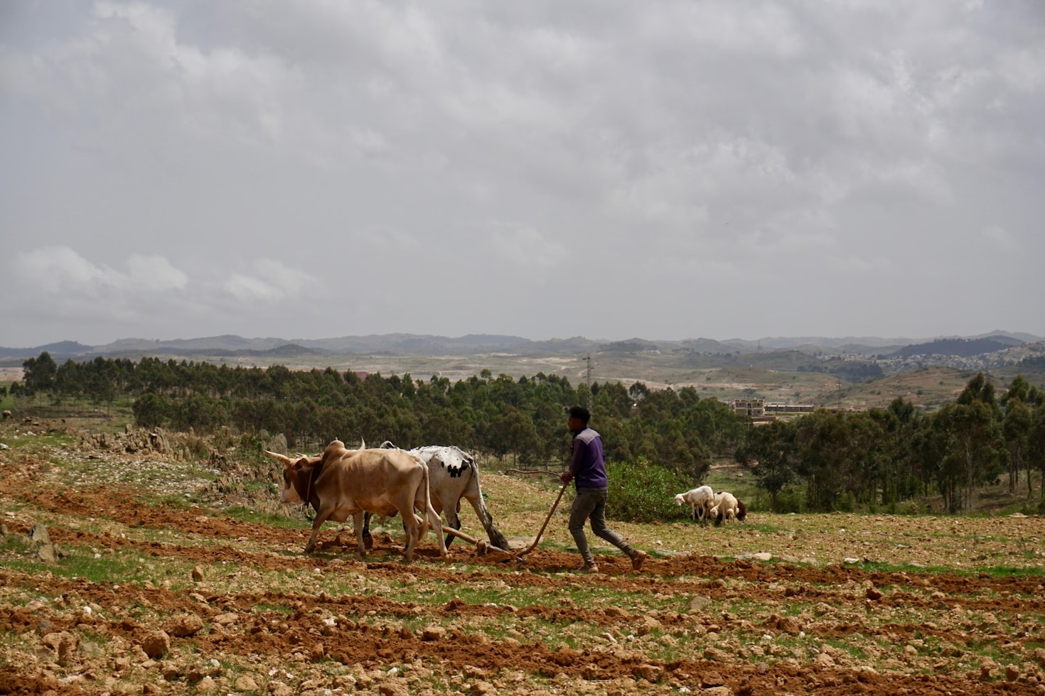 Policy Change for a Sustainable and Just Future