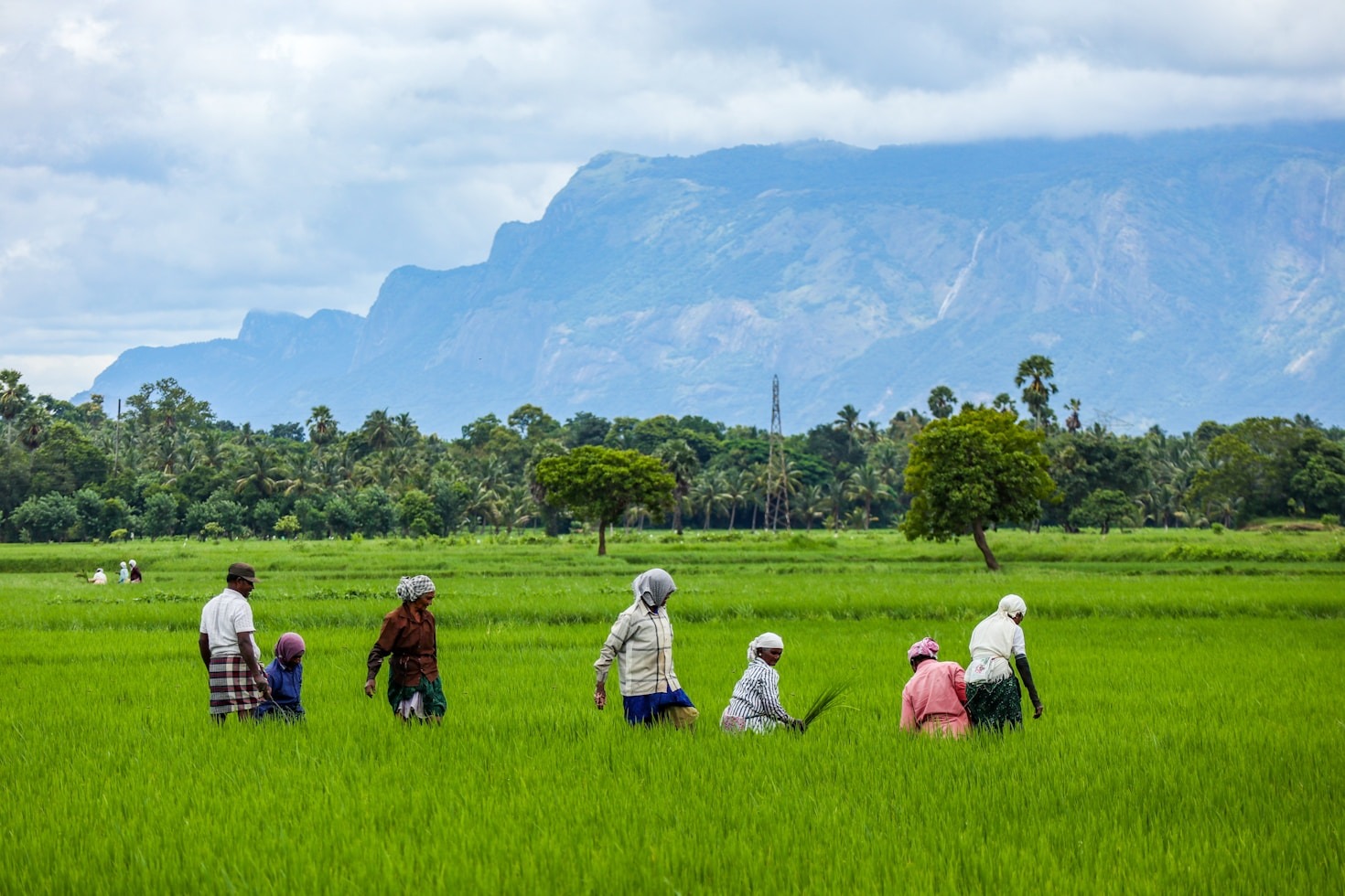 Building Resilience Through Community Partnerships