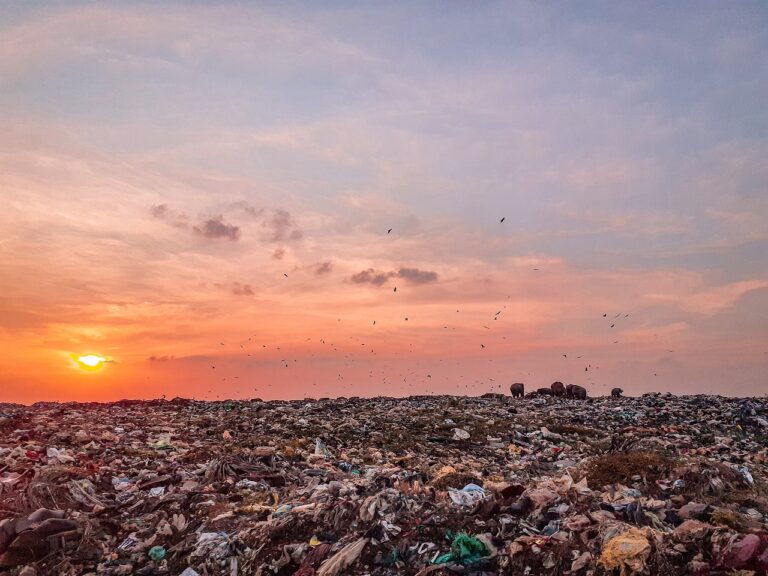 From Kiteezi to Buyala: The Cost of Kampala’s Waste Crisis